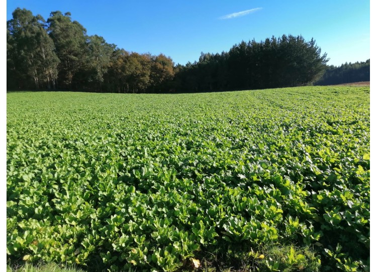 Trabajamos con agricultores locales